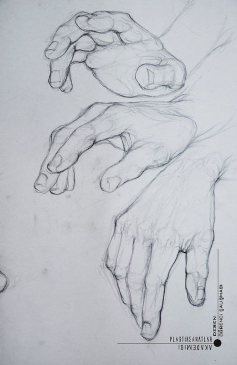 Holding Hand Out Reference, Hand Anatomy Drawing, Hand Gesture Drawing, Drawing Hands, Skulls Drawing, Hand Drawing Reference, Human Anatomy Art, Anatomy Sketches, Figure Sketching