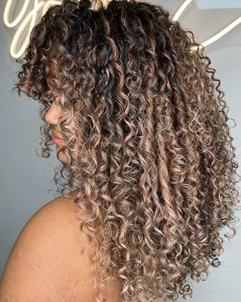 Highlights For Brown Hair Caramel, Fall Highlights For Brown Hair Caramel, Highlights On Dark Curly Hair, Honey And Caramel Highlights, Fall Highlights For Brown Hair, Brown Hair Caramel, Short Curly Hair Updo, Caramel Highlights On Dark Hair, Caramel Highlights On Brown Hair