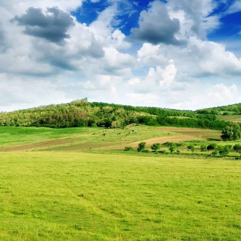 Homestead Land, Free Land, Rural Land, Independence Day Images, Days Of Creation, Real Nature, Mountain Photos, Fish Ponds, Nature Sounds