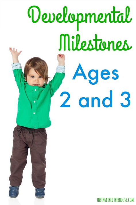 Three Year Old Milestones, Child Development Activities, Toddler Milestones, Development Milestones, Developmental Milestones, Toddler Development, Preschool Curriculum, Learning And Development, Gross Motor