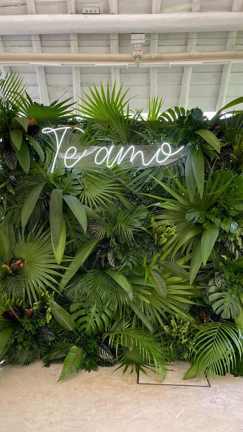 MX Wedding Planning & Design on Instagram: "Te amo in photograph. Venue @banyantreemayakoba @banyantreemayakobaweddings Planning @canteiroweddings Rentals and decor @canteiroweddings AV @inspiremexico @weddingsbyinspire Couple @kehullinger @nyhorse314" Foliage Backdrop Wedding, Palm Photo Backdrop, Wedding Backdrop Greenery Wall, Plant Wall Wedding, Tropical Plant Wedding Decor, Jungle Theme Wedding Decor, Tropical Theme Wedding Decorations, Tropical Event Decor, Jungle Wedding Decor