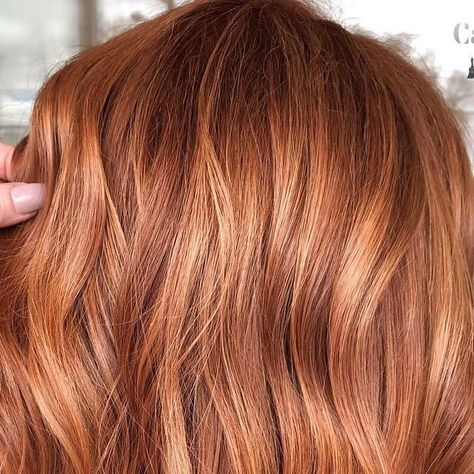 2,567 likes, 98 comments - camouflageandbalayage on April 11, 2019: "This week has brought beautiful bright colors to my chair!! 🙏🏼❤️🥰 Copper with a soft..." Wet Balayage, Igora Vibrance, Soft Balayage, Root Color, My Color, April 11, Personal Taste, Bright Colors, Balayage