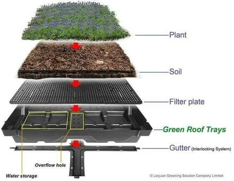 Green Roof Planting, Living Green Roof, Roof Plants, Green Roof Design, Green Roof Garden, Green Roof House, Green Roof System, Grass Roof, Roof Garden Design