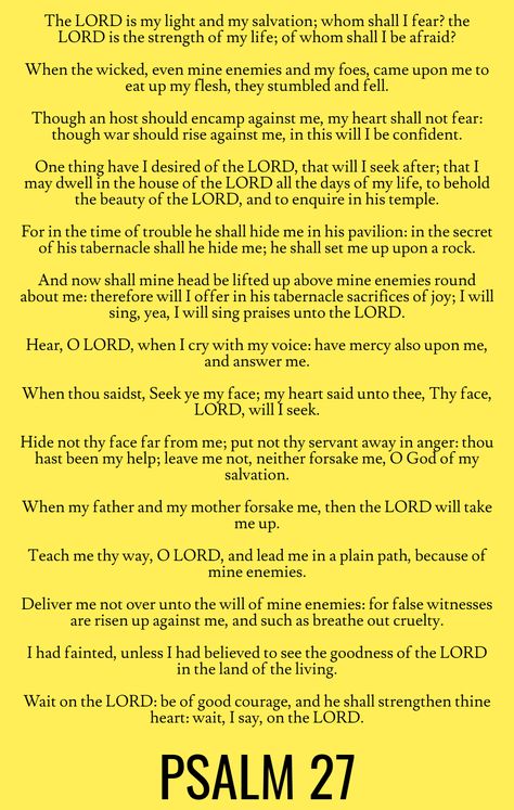 The LORD is my light and my salvation; whom shall I fear? the LORD is the strength of my life; of whom shall I be afraid? When the wicked, even mine enemies and my foes, came upon me to eat up my flesh, they stumbled and fell. Though an host should encamp against me, my heart shall not fear: though war should rise against me, in this will I be confident… Psalm 27 (KJV) Psalms 27, Whom Shall I Fear, Psalm 45, The Lord Is My Light, Psalm Scriptures, Fear The Lord, Bible Psalms, Lord Of Hosts, Psalm 27