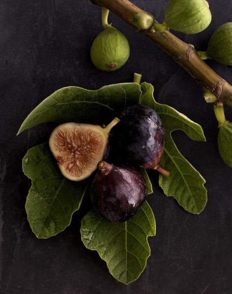 Green Figs, Rosé Portrait, Mouthwatering Food, Fig Fruit, Green Fig, Legends And Myths, Fresh Figs, Fig Leaves, Minimal Decor