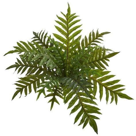 Fern Bush, Buku Harry Potter, Silk Floral Arrangements, Fern Plant, Silk Plants, Real Plants, Nearly Natural, Fake Plants, Faux Plants