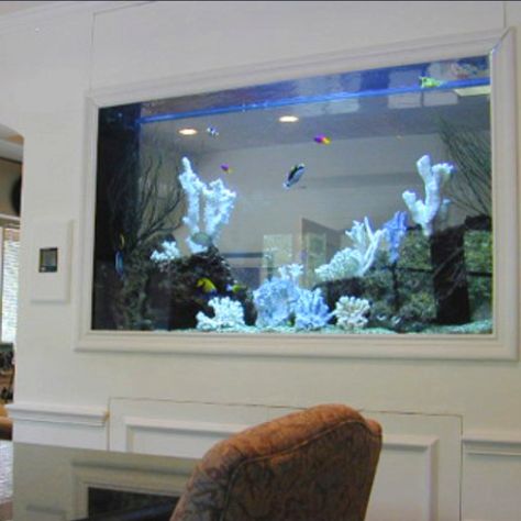 I want a fish tank in the wall of the kitchen and living room Large Fish Tank Ideas, Fish Tank Wall, Wall Aquarium, Amazing Aquariums, Diy Fish Tank, Cool Fish Tanks, Fish Tank Design, Diy Aquarium, Salt Water Fish