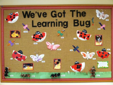 Bugs bulletin board Creepy Crawlies Bulletin Board, Insects Bulletin Board Preschool, Bugs Bulletin Board Ideas, Bug Bulletin Board Ideas Preschool, Insects Bulletin Board Ideas, Insect Bulletin Board Ideas Preschool, Bugs Classroom Decor, Bug Classroom Theme Decor, Insect Classroom Theme Decor