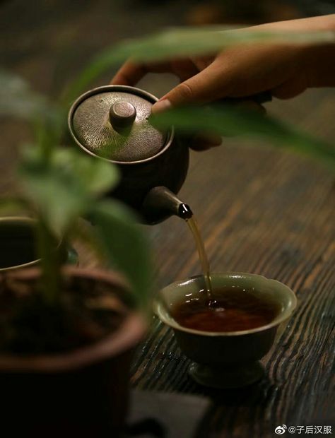 Chinese Tea Room, Tea Japan, Goodbyes Are Not Forever, Shen Qingqiu, Asian Tea, Till We Meet Again, Chinese Aesthetic, Tea Culture, Japanese Tea Ceremony