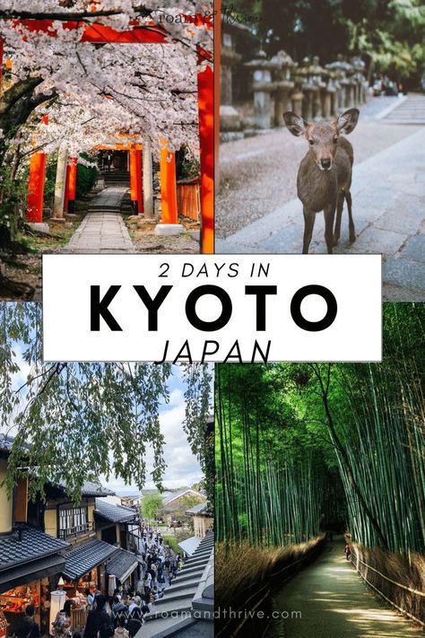 Osaka Kyoto Nara Itinerary, Must Do In Kyoto, Kiso Valley Japan, Tokyo Kyoto Osaka Itinerary, Kyoto In Winter, Kyoto Japan Itinerary, Kyoto 2 Days Itinerary, Kyoto Things To Do, Things To Do In Kyoto Japan