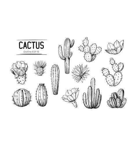 Nopales Tattoo, Fine Line Cactus Tattoo, Cute Cactus Tattoo, Cactus Flower Drawing, Cricut Cactus, Cactus Tattoo Small, Tattoo Cactus, Cactus Icon, Cactus Outline