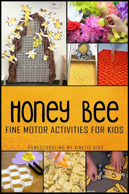 Quiet activities to learn about honey bees while listening to "The Complete Adventures of Winnie the Pooh" being read aloud. Pretend play and games to enjoy as part of a beekeeping theme unit. Preschool, elementary students, homeschool, daycare, and more. Bee Kids Crafts, Ag Activities, Pollination Activities, Bee Inquiry, Preschool Units Themes, Pollination Activity, Insect Study, Insects Preschool, Animal Lessons