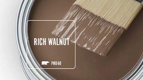 Rich Walnut PMD-60 | Behr Paint Colors Brown Kitchen Paint Colors, Behr Color Pallets, Bear Brown Paint Colors, Soft Brown Paint Colors, Brown Paint Colors Behr, Behr Dark Brown Paint Colors, Moody Brown Paint Colors, Brown Behr Paint Colors, Behr Paint Colors Brown