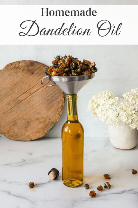 Dandelion Infused Oil, Health Era, Apothecary Diy, Dandelion Oil, Herbal Medicine Recipes, Herbal Therapy, Shimmer Oil, Infused Oil, Herbal Recipes