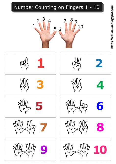 Numbers To 10 Activities, Numbers With Fingers, Counting With Fingers, Brojevi Do 10, Learn Numbers 1-10, 1to10 Number, Counting Numbers 1-10 Worksheets, 1 10 Number Activities, 1 To 10 Numbers Activities