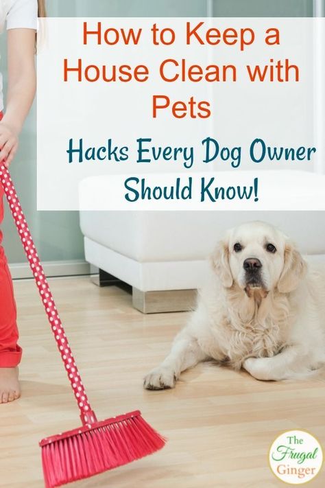 Use these easy tips to keep a house clean with pets, even with a shedding dog! Learn how to keep your house from smelling like dog and to keep the floors clean of dog hair, along with every other area in your home. This is a must read for every dog owner! #pets #cleaning #dog Homemade Toilet Cleaner, Cleaning Painted Walls, Glass Cooktop, Deep Cleaning Tips, Dog Cleaning, Dog Shedding, Clean Dishwasher, Pet Hacks, Simple Life Hacks