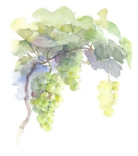 Vine Drawing, Grape Painting, Art Tutorials Watercolor, Watercolor Fruit, Art Aquarelle, Art Minimaliste, Fruit Painting, Fruit Art, Botanical Prints