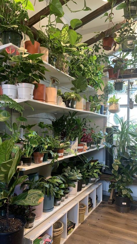 Coffee Shop Designs, Industrial Coffee Shop, Green Cafe, All Things Green, Industrial Coffee, Plant Decor Indoor, Plant Aesthetic, Cafe Interior Design, Room With Plants