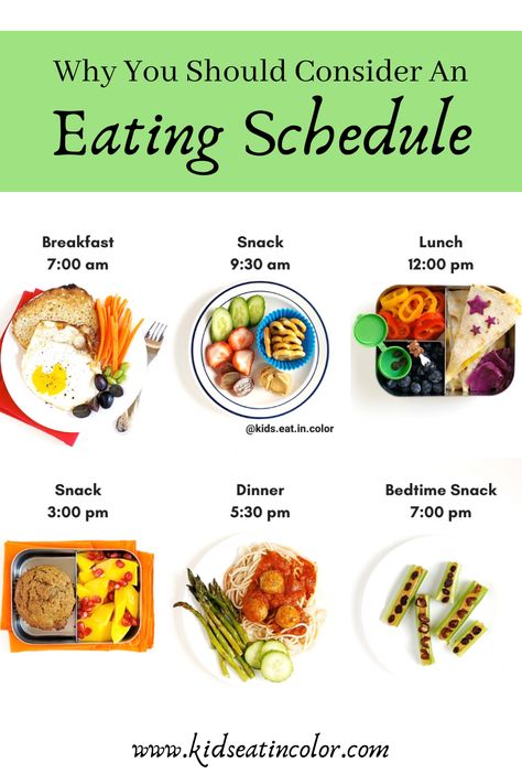 I strongly recommend that parents provide a meal schedule or routine and decide when their kids will eat. ⁠⠀ ⁠⠀ When kids eat a lot of times throughout the day, it increases their risk of cavities and can lead to them either eating too much or not enough for their body. It makes it harder for them to listen to when they are hungry and full. Eating on a schedule though, leads to better eating and less picky eating!  ⁠⠀ Want more deets about eating schedules? I wrote all about it on my blog. Healthy Daily Meals, Meal Schedule, Diet Schedule, Kiat Diet, Motivasi Diet, Eating Schedule, Daily Meal Plan, Picky Eating, Kids Meal Plan