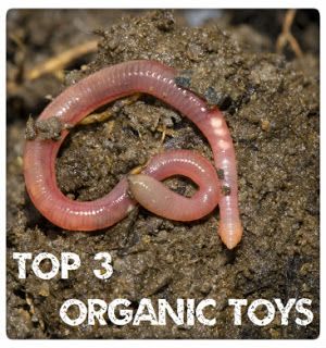 Top 3 Organic Toys Red Wiggler Worms, Animals That Hibernate, Red Wigglers, Worm Composting, Worm Farm, Mother Earth News, List Of Animals, Science Ideas, Earthworms