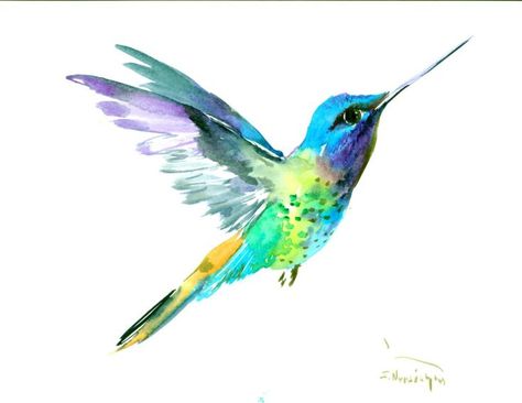 Hummingbird Artwork, Watercolor Pencil Art, Transparent Background Image, Hummingbird Wall Art, Painting Birds, Hummingbird Pictures, Watercolor Hummingbird, Hummingbird Painting, Hummingbird Art