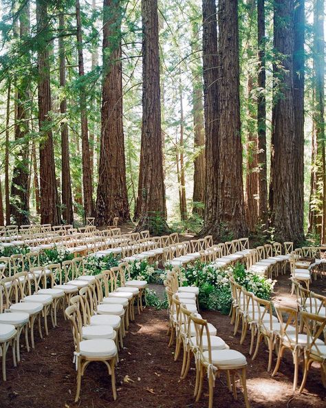 w e r k • Instagram Outdoor Wedding Seating, Woodland Wedding Ceremony, Forest Wedding Ceremony, Twilight Wedding, Wedding Ceremony Ideas, Boho Outdoor, Beautiful Outdoor Wedding, Best Wedding Venues, Wedding Ceremony Decorations