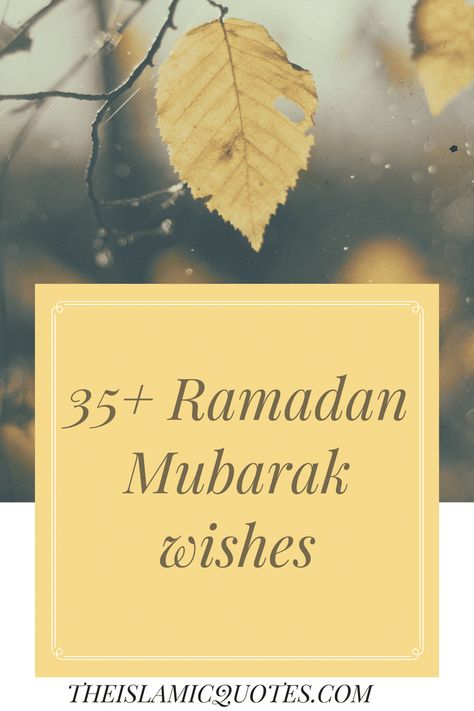 Ramadan Mubarak Wishes, Ramadan Messages, Ramadan Dp, Ramadan Mubarak Wallpapers, Success Wishes, Happy Ramadan Mubarak, Ramadan Prayer, Ramadan Wishes, Wishes For Sister