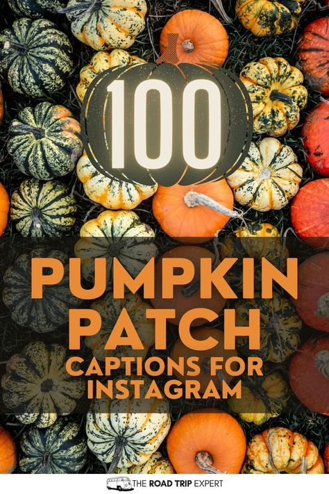 Pumpkin Patch Captions for Instagram Pumpkin Patch Ig Captions, Pumpkin Patch Captions, Halloween Carvings, Patch Quotes, Pumpkin Quotes, Pumpkin Patch Pictures, Best Pumpkin Patches, Fall Activity, Instagram Couples