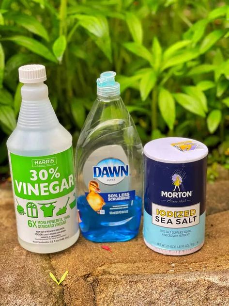 Simple Recipe for Homemade Weed Killer That Works | Hometalk Home Made Grass Killer Weeds, Homemade Weedkiller Spray Gallon, Homemade Weedeater, Diy Weedeater, Vinegar For Weeds, Poison Ivy Killer, Kill Weeds With Vinegar, Crunchy Life, Kill Weeds Naturally