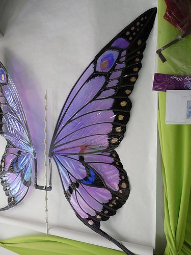 GiantButterflyWingsSide2 | Giant Butterfly wings comissioned… | Flickr Kostum Peri, Elf Kostüm, Diy Fairy Wings, Giant Butterfly, Kristina Webb, Butterfly Fairy Wings, Butterfly Costume, Idee Cosplay, Butterfly Fairy