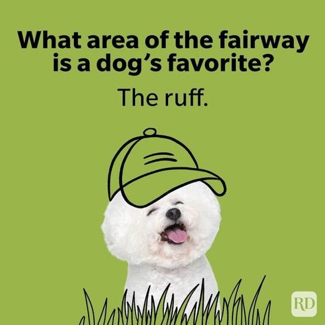 These golf jokes are guaranteed to be a hole-in-one! ⛳️ Click the 🔗 in our bio for more humor. #golf #jokes #golfjokes #humor #golfhumor Golf Puns, Golf Jokes, Golf Fundraiser, Jokes And Puns, Par Tee, Simpsons Characters, Dog Jokes, Jokes Humor, Jokes Hilarious