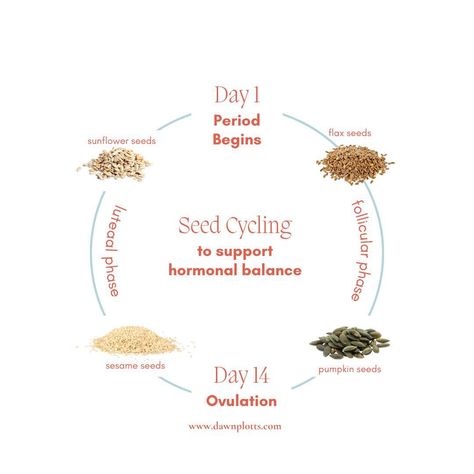 Are you aware of the powerful effects of seed cycling on your hormones? Seed cycling is a natural and gentle approach to supporting hormone balance by incorporating specific seeds into your diet during different phases of the menstrual cycle. Here are some of the 🔑 benefits of the practice and why I swear by it: ✅ Reduces PMS Symptoms The seeds used in seed cycling contain nutrients like zinc, magnesium, and essential fatty acids that support the body’s hormone production and metabolism. ... Seed Cycle Hormones, Seed Cycling Hormones, Seed Cycle, Hormonal Support, Seed Cycling, The Menstrual Cycle, Cycle Syncing, Fitness Healthy Lifestyle, Food Education