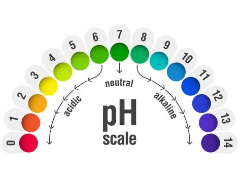 Ph Scale, Ph Levels, Uric Acid, Bacterial Infection, Hormone Levels, Ph Balance, Science Lessons, Diy Cleaning Products, Natural Remedies