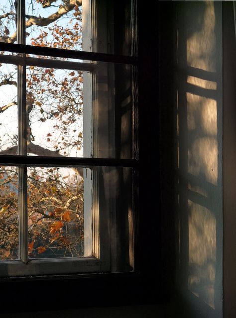 Szigliget window | Flickr - Photo Sharing! An Open Window, Foto Tips, Window View, Academia Aesthetic, Through The Window, Best Seasons, Open Window, Autumn Aesthetic, 그림 그리기