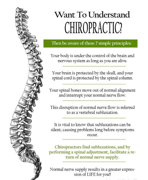 Chiropractic Social Media Posts, Spinal Anatomy, Chiropractic Social Media, Chiropractor Humor, Chiropractic Humor, Chiropractic Assistant, Chiro Office, Chiropractic Logo, Chiropractic Office Design