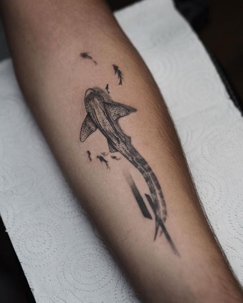 Leopard Shark Tattoos, Shark Arm Tattoos For Women, Shark Tattoo Arm, Leopard Shark Tattoo, Tiger Shark Tattoo, Ocean Themed Tattoos, Shark Tooth Tattoo, Hai Tattoo, Tooth Tattoo