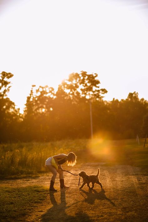 Puppy Bed Ideas, Puppy Photoshoot Ideas, Fall Dog Photos, Dog Owner Photoshoot, Dog Photoshoot Ideas, Pfps For Tiktok, Wallpaper Puppy, Aesthetic Puppies, Puppy Pfp