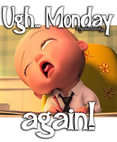 Ugh Monday, Happy Monday Quotes, Funny Day Quotes, Happy Day Quotes, Good Morning Funny Pictures, Good Morning Sweetheart Quotes, Monday Again, Monday Humor, Good Morning Sunshine Quotes