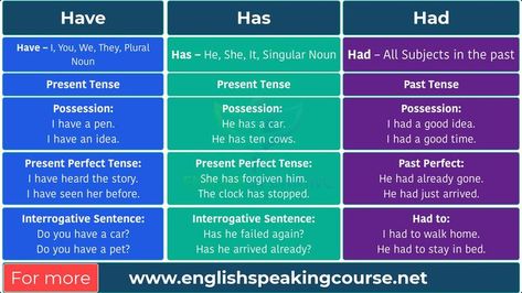 Had Has Have Grammar, Have Has Had Grammar Rules, Use Of Have Has Had In English, Has Have Had Grammar, Interrogative Pronouns, Basic English Grammar, English 101, English Notes, Grammar Posters