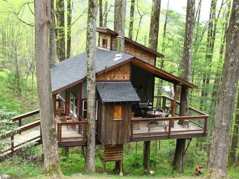 Looking for the best treehouses in North Carolina? Here are the top choices for every type of traveler | treehouse rentals north carolina | treehouse airbnb north carolina | asheville north carolina treehouse | treehouses north carolina | treehouse camping north carolina tree house | north carolina tree houses for rent in north carolina | tree houses in north carolina | tree house rentals north carolina | tree house north carolina | tree house airbnb north carolina Treehouse Camping, Tree House Deck, Treehouse Bedroom, Adult Tree House, Tree Cabin, Treehouse Rentals, Treehouse Living, Treehouse Airbnb, Luxury Tree Houses