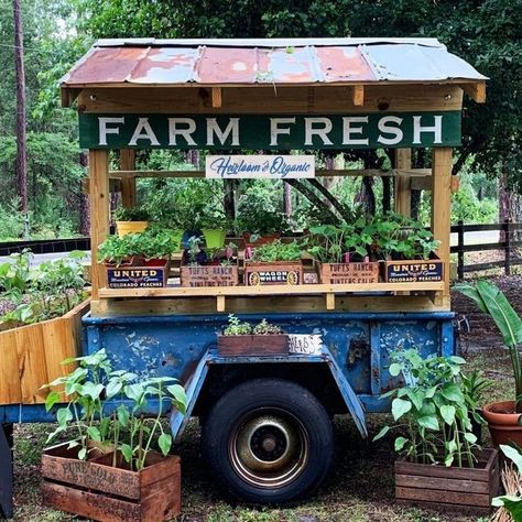 Farmers Market Plant Display, Vegetable Stand Roadside, Farm Stand Ideas, Roadside Farm Stand, Veggie Stand, Farm Market Ideas, Open Air Market, Roadside Stand, Farmers Market Stand