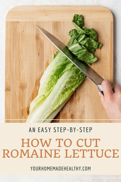 Get all of your romaine lettuce questions answered here! We will go over how to properly cut romaine lettuce for salads, how to prep the lettuce, and how to store it for the best, long lasting freshness and more. How To Prep Lettuce How To Store, Salads Using Romaine Lettuce, How To Clean Romaine Lettuce, How To Chop Romaine Lettuce, How To Cut Lettuce For Salad, How To Chop Lettuce For Salad, How To Wash Romaine Lettuce, How To Cut Romaine Lettuce For Salad, How To Keep Romaine Lettuce Fresh