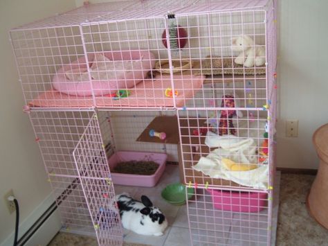 Small Rabbit Cage, Diy Bunny Cage, Bunny Bed, Diy Rabbit Cage, Rabbit Diy, Bunny Cage, Bunny Hutch, Bunny Room, Animal Cage