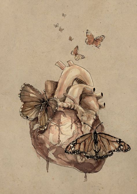 butterflies by mario alba - Portrai Illustrations by Mario Alba  <3 <3 Anatomical Heart Art, Heart Tattoo Designs, Anatomical Heart, Human Heart, Ap Art, Romantic Art, Couple Drawings, Anatomy Art, Cool Art Drawings