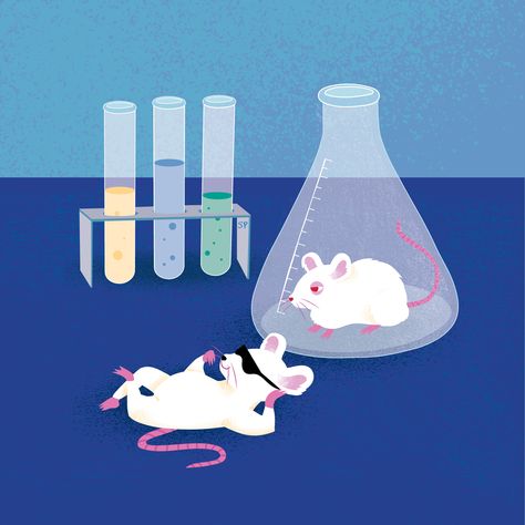 Laboratory Illustration, Lab Mouse, Mouse Illustration, Animal Illustration, Mice, Editorial, Lab, Animals, Quick Saves