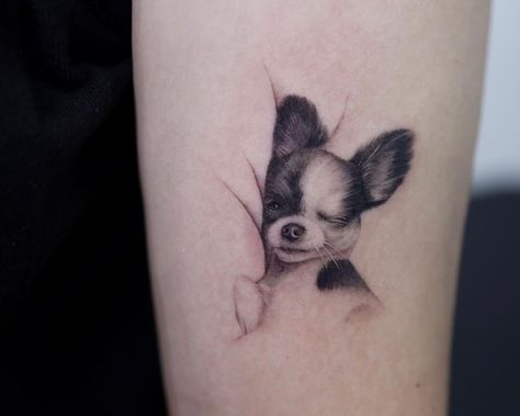 Chihuahua Tattoo Ideas, Dog Tattoo Ideas Minimalist, Schnauzer Tattoo, Pet Tattoo Ideas, Tattoo Ideas Minimalist, Small Chihuahua, Chihuahua Tattoo, Pet Tattoos, Puppy Tattoo