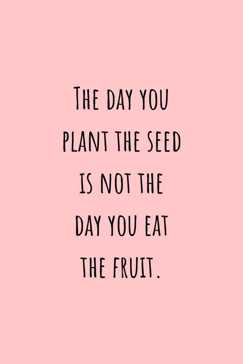 The Day You Plant The Seed, Plant Seeds Quotes, The Day You Plant The Seed Quote, Fruit Quotes Inspirational, Strawberry Quotes, Snacking Quotes, Vegetables Quote, Seed Quotes, Biblical Garden