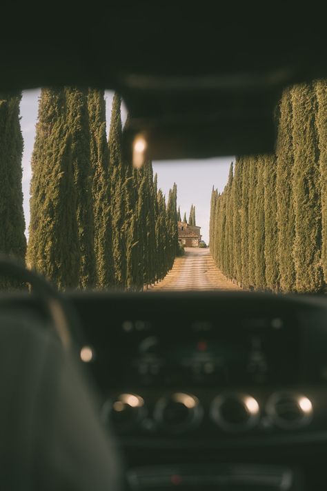 She's Mercedes: Ladyvenom in Tuscany Vintage Travel Photography, Change Aesthetic, Estate Aesthetic, Tuscany Aesthetic, Europe Film, Car Nature, Tuscany Vineyard, Red Money, Road Trip Fashion