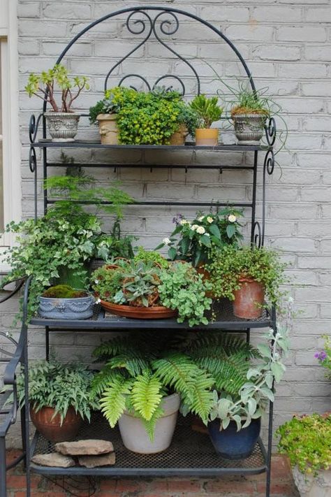 Outdoor Plant Shelves, Outdoor Bakers Rack, Hanging Planter Diy, Plants Rack Outdoor, Green Decor Ideas, Spilled Flower Pot Ideas, Spilled Flower Pot, Topiary Decor, Outdoor Cottage