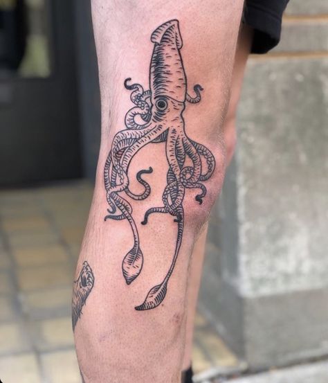 Vampire Squid Tattoo, Mollusk Tattoo, Aquatic Leg Sleeve Tattoo, Squid Tattoo Cute, Octopus Tattoos Arm, Zoo Animal Tattoos, Giant Squid Tattoo, Sea Monster Tattoo, Sea Creatures Tattoo